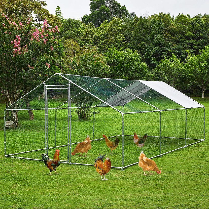 【Pet】Extra Large Metal Chicken Coop Walkin Poultry Cage Rabbits Habitat Cage(19.6'Lx9.8'Wx6.5'H)